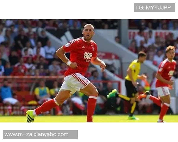 雷丁与诺丁汉森林精彩对决视频回顾及赛后分析